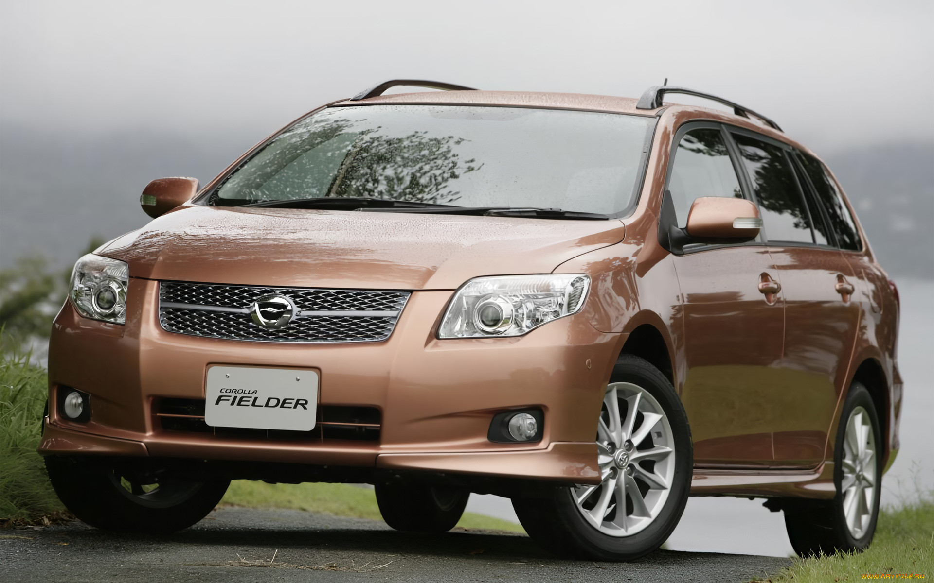 , toyota